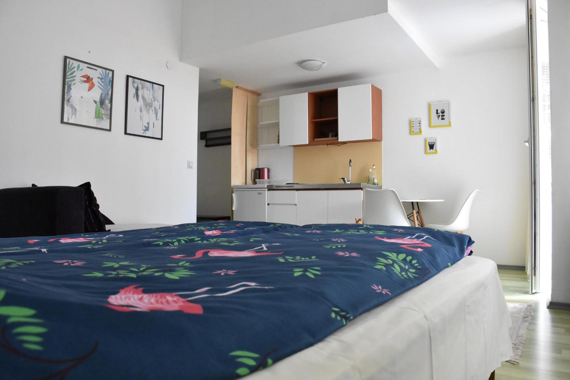 Bache Apartments オフリド エクステリア 写真